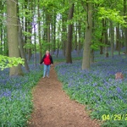 A picture of Northamptonshire