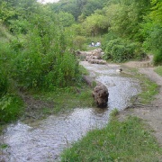 Barton Springs
