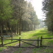 Photo of Trees and Woodlands