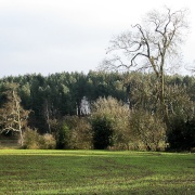 Robin Wood, near Ticknall