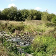 River Biss in riverside walk