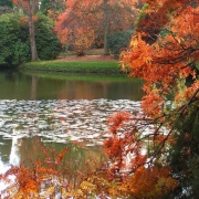November 2004