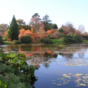 November 2004