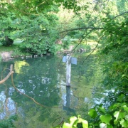 Another view from Ray Mill Island, Maidenhead.