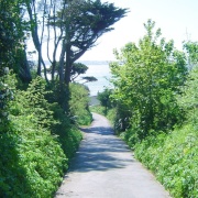 A woodland path on Herm, one of the smaller Channel Islands