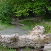 Barton Springs