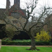 Bateman's Garden
