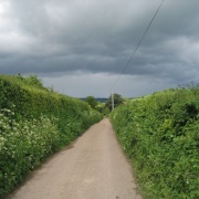 Country lanes near Dalwood