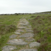 Ancient path leading to Grimspound Bronze Age village on Dartmoor