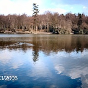 Campbells lake view, Tilgate park, Tilgate, Crawley, West sussex
