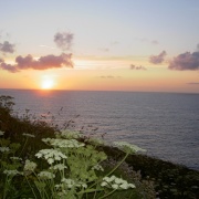 sunset Port Isaac, Cornwall