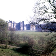 'Between the Trees' - Brancepeth Castle, County Durham