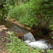 Stream at Oxburgh Hall, Norfolk