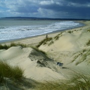 Camber Sands, East Sussex