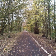 'Green Drive'