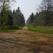 Maulden Woods