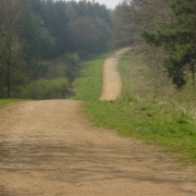 Maulden Woods