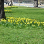 Bedford river bank