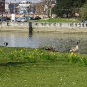 Bedford riverbank