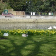 Bedford riverbank