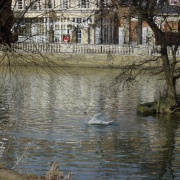 Bedford river