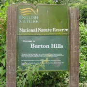 Barton Springs