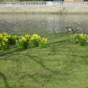 Bedford