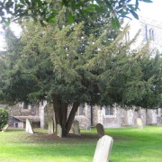 St Nicholas' churchyard, Barton le Clay