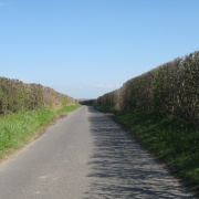 English country lane