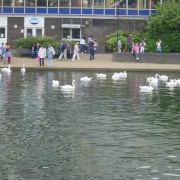 River Ouse Bedford