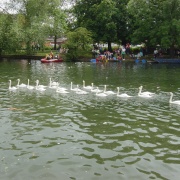 River Ouse Bedford