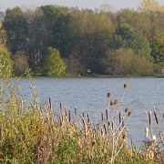 Priory Marina, Bedford