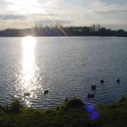 Priory Marina, Bedford