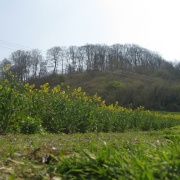 Sharpenhoe Clappers