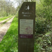Maulden Woods