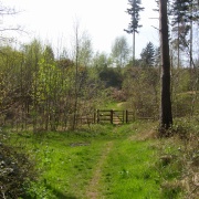Maulden Woods