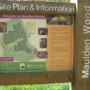 Maulden Woods