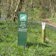 Maulden Woods