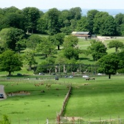 View of the Safari Park, Longleat