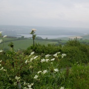 A view from the cycle path towards the Estuary