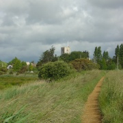 Beside the River Frome Looking Towards Wareham