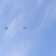 Bi-Planes