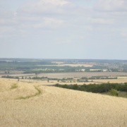 Bedfordshire countryside