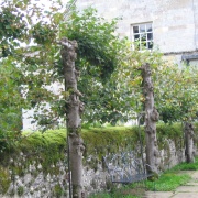 Part of the Garden!