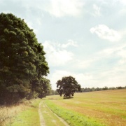 Ickworth Park