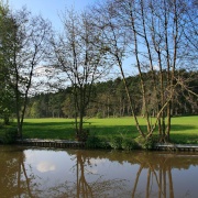 Canal near Milford 2