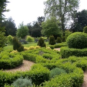 More Buxus shapes