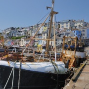 Fishing Boats in Brixham Harbour - June 2009
