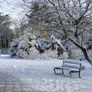Wintertime 2009
