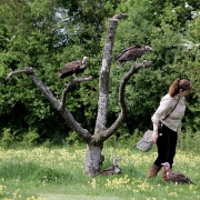 Photo of The Hawk Conservancy, Weyhill
